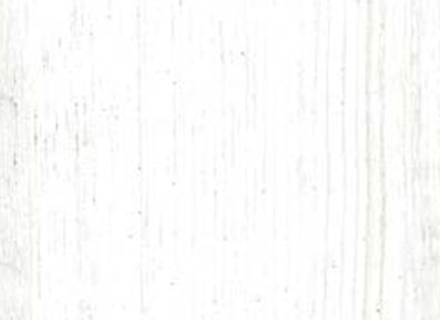 Fólia 3D Dub nórsky