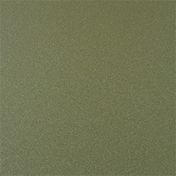Crystal Moss