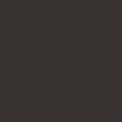 Top Trends Truffle