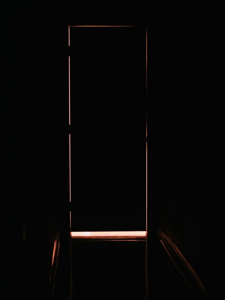 Čierne interiérové dvere — tmavé dvere v modernom minimalistickom interiéri